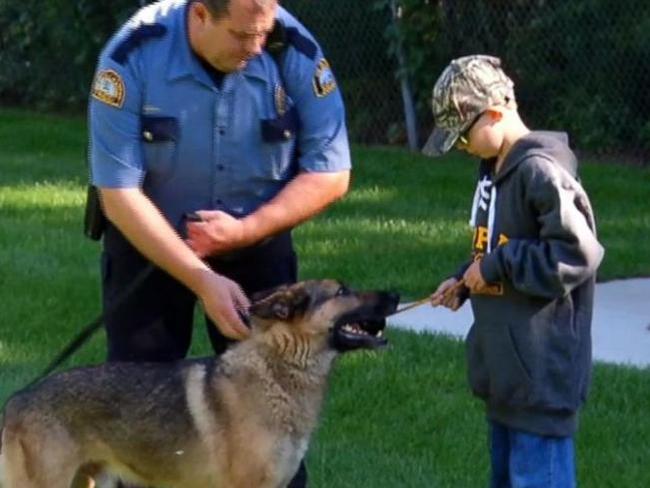 9-Year-Old Boy Donates Birthday Money to Buy Bulletproof K9 Vests. Picture: Good Morning America