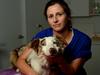 Deadly disease strikes Townsville dogs