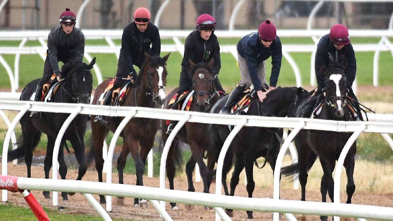 Melbourne Cup favourite Irish horse Yucatan (R) leads stablemates during an early morning run at the Werribee racecourse.