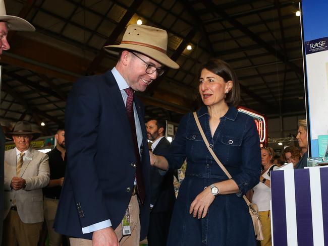 Premier Gladys Berejiklian and Minister for Agriculture Adam Marshall pictured together earlier this year. Picture: NCA NewsWire / Gaye Gerard