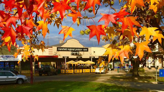 The Produce Store in Mansfield.