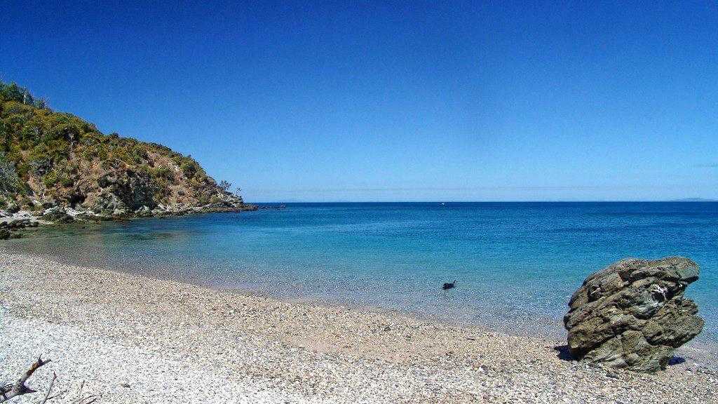 One of Wedge Island's sandy beaches. Picture: Melanie Plane