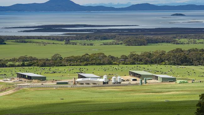 FOCUS: Kate Bland dairy farmerKate runs an 800-head dairy operation in Foster, South Gippsland.PICTURED: Kate and Deb Bland's dairy farm.PICTURE: ZOE PHILLIPS