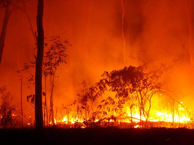 Bushfire North of Bamaga. Picture: Istock