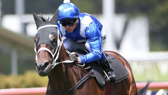 Winx gallop: Kerrin McEvoy to ride champ in hitout at Rosehill Gardens ...