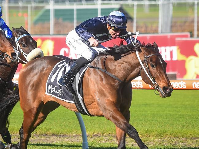 Outback Miss ridden by Blake Shinn wins the The McCaf? Handicap  at Caulfield Racecourse on June 24, 2023 in Caulfield, Australia. (Photo by Reg Ryan/Racing Photos via Getty Images)