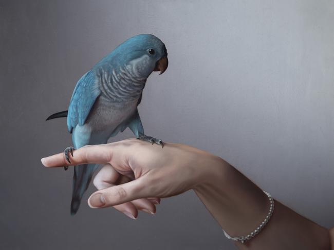 Tasmanian artist Sebastian Galloway was painting a series of portraits of birds with their owners when Covid hit. He changed direction and started painting on copper, a decision that has proved successful. Picture: Supplied