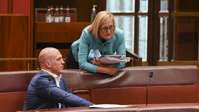 ACT Senators David Pocock and Katy Gallagher chat during debate. Picture: NCA NewsWire / Martin Ollman