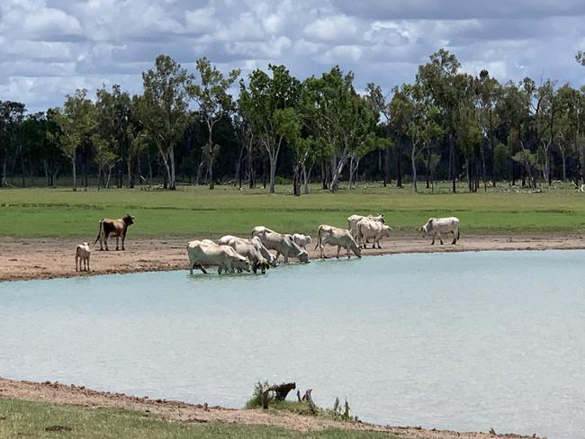 Codrilla is a property on the Fitzroy Development Rd at Valkyrie.