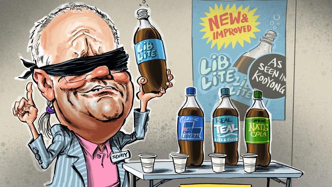 Former PM Scott Morrison's idea for a new Liberal 'lite' brand to recapture the Teal vote is a mistake. Illustration: Terry Pontikos