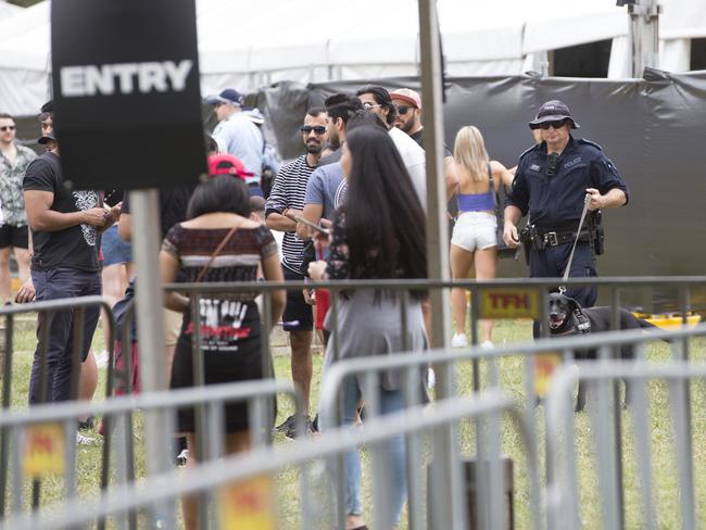 A sniffer dog at the Ultra 2019 festival detected the drugs. Picture: Damian Shaw