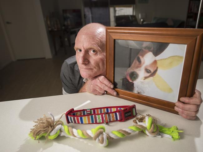 Craig Medley said he never stopped hoping he would be reunited with Rocky. Picture: Rob Leeson.