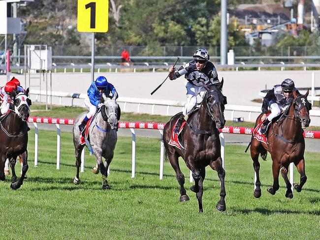 Jockey Billy Egan rides Home by Midnight to victory in the Launceston Cup at the Mowbray Racecourse. Picture: ZAK SIMMONDS