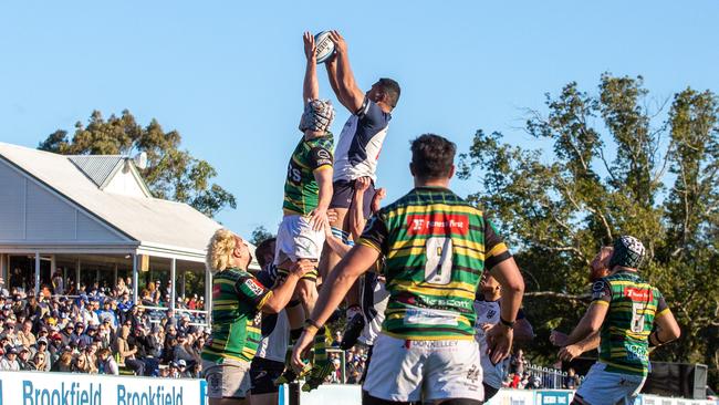 The Shute Shield is expecting a resurgence this season.