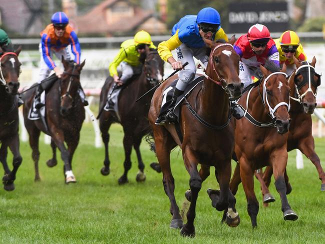 Black Heart Bart should make his presence felt in the first Group 1 of the new Victorian season. Picture: Getty Images