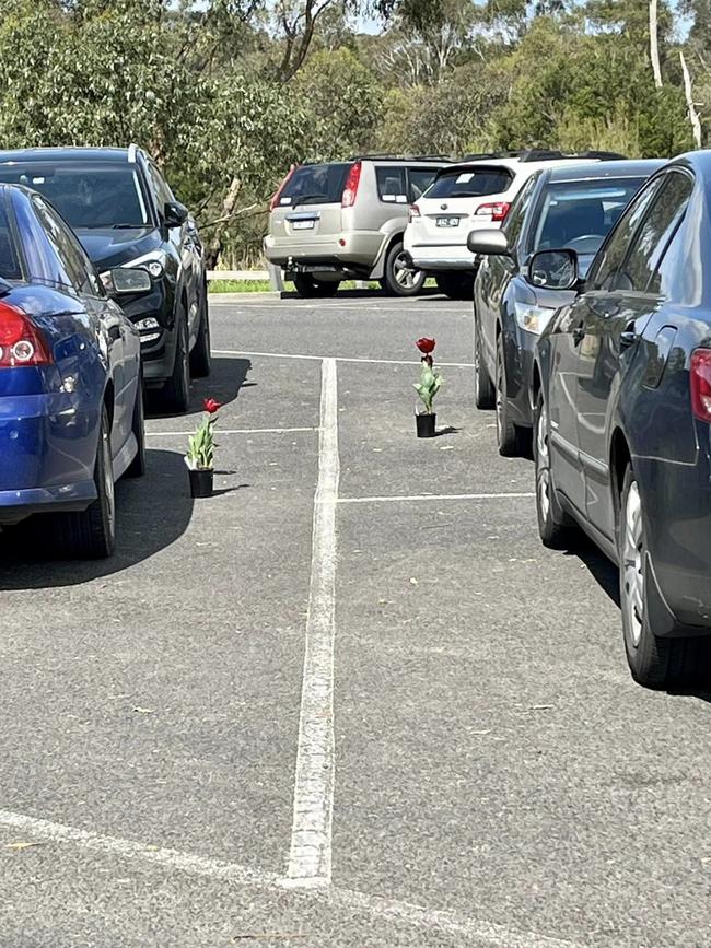 Hundreds of pots were left near cars.