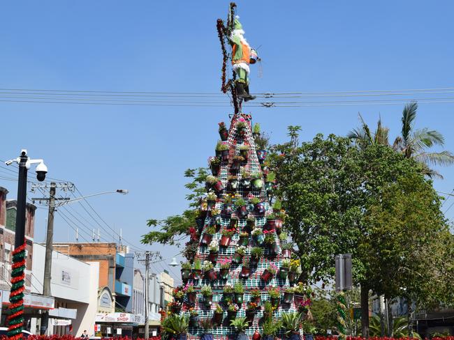 FESTIVE: Lismore City Council's 2019 recycled Christmas tree has been unveiled. The 7-metre CBD festive sculpture is made from more than 300 potted plants.