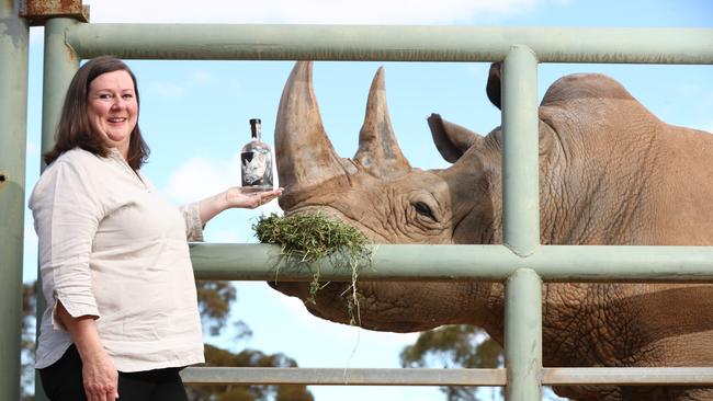 Trudy Dickson of Ambleside Distillers at Monarto Zoo with a Southern White Rhino. Picture: Tait Schmaal.