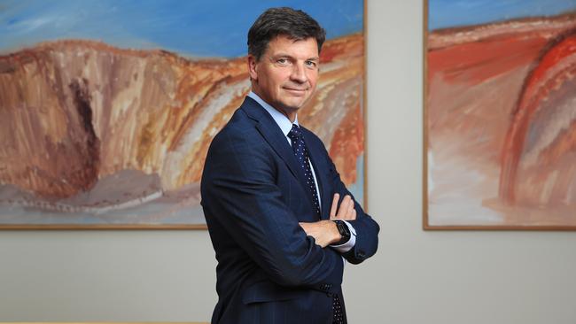 Energy and Emissions Reduction Minister Angus Taylor said the grants would help minimise shortages of diesel and drive investment into these strategic regional locations. Picture: John Feder