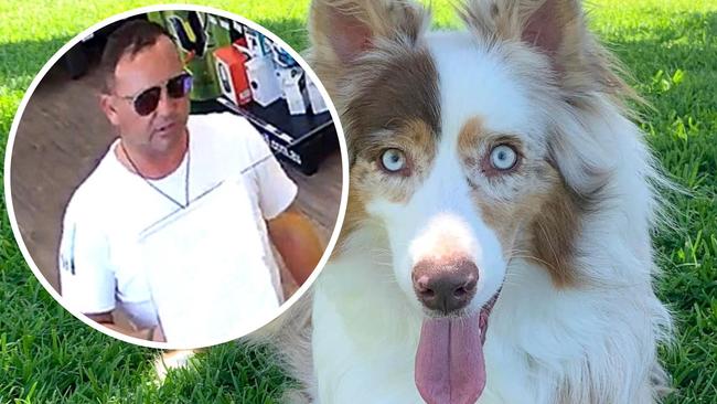 A man has been arrested and charged for the alleged theft of a blind dog named Bowie