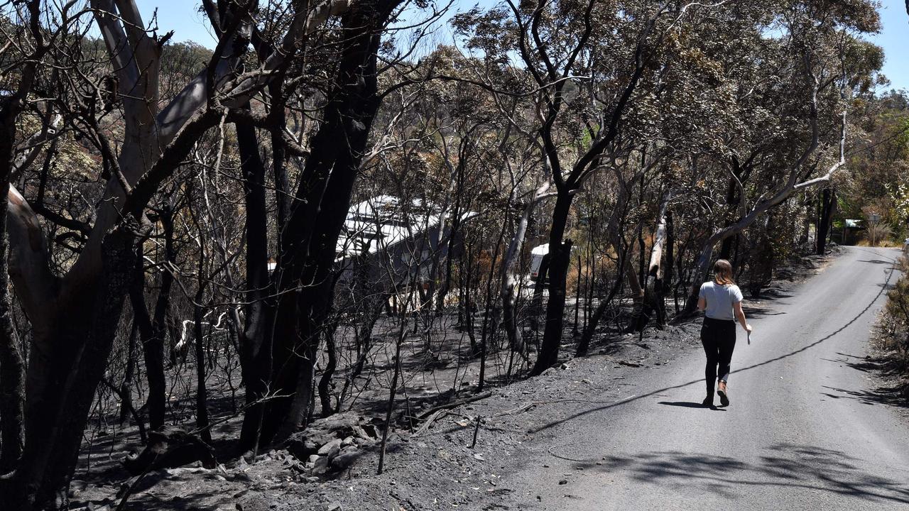 NSW bushfires: Sydney spared from catastrophe but northern fire fields ...