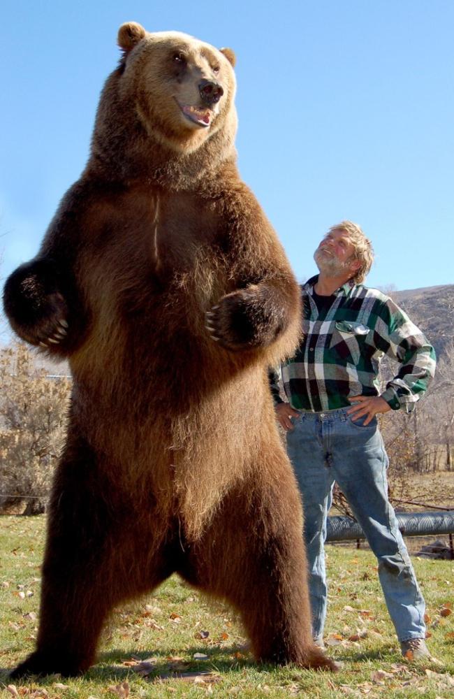 Doug Seus poses alongside the 8-foot-6-inch Bart the Bear II on his ranch in Utah in 2009.