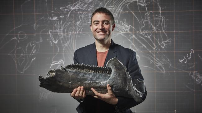 Museums Victoria’s senior curator of palaeontology Dr Erich Fitzgerald with a section of the triceratops fossil. Picture: Supplied