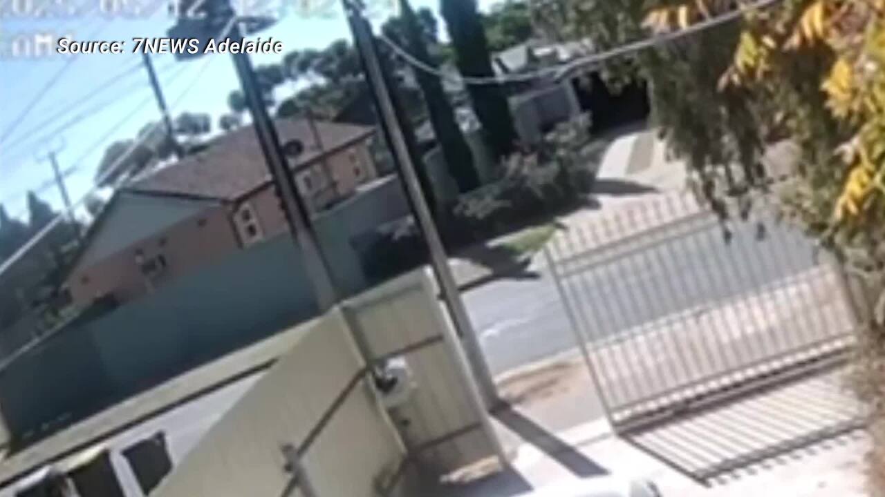 Man hit by car after alleged break-in