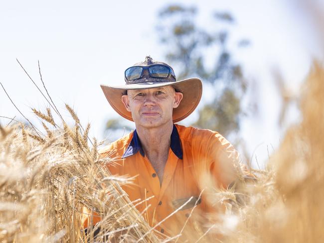 NEWS: Wheat Harvest Craig Stone NeilboroughPICTURED: Wheat Harvest Craig Stone NeilboroughPicture: Zoe Phillips