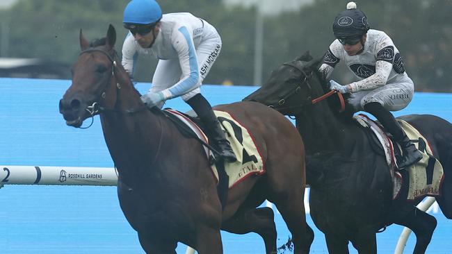 SYDNEY, AUSTRALIA - DECEMBER 07: Ashley Morgan riding Private Harry wins Race 1 Petaluma during Sydney Racing at Rosehill Gardens on December 07, 2024 in Sydney, Australia. (Photo by Jeremy Ng/Getty Images)
