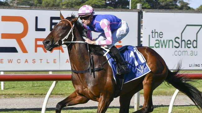 Race 9 - Newcastle, 18/11/2023, Winner - Tavi Time, Jockey - Dylan Gibbons, Picture: Bradley Photos
