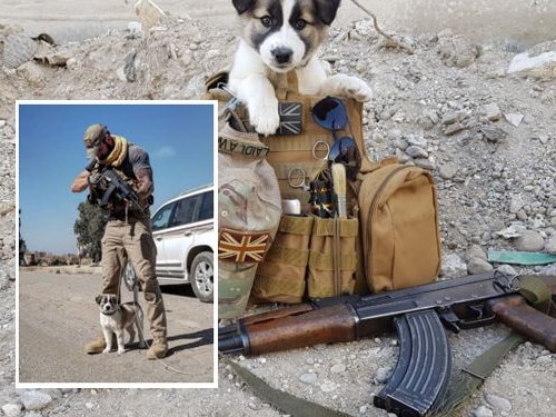 Soldier reunites with puppy he saved in Syria