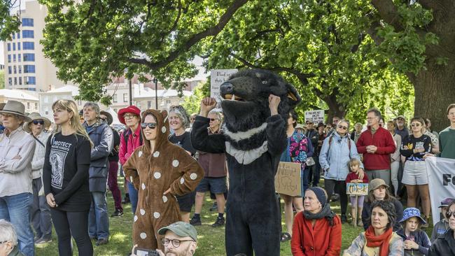 Rally for forests at Parliament House Lawns in Hobart. Picture: Caroline Tan