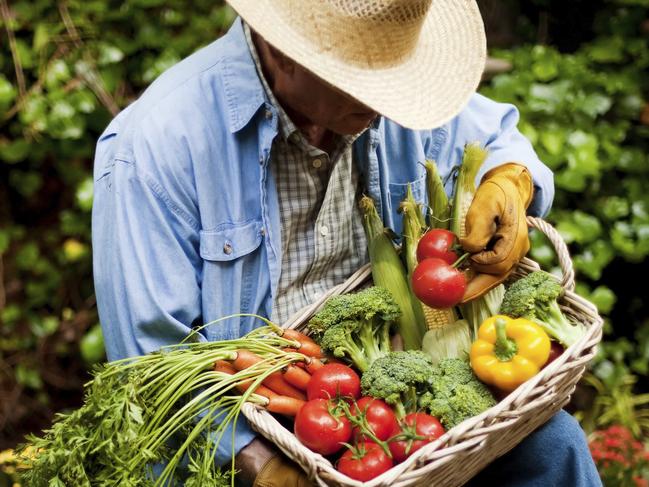 HOME GARDEN Eden Gardens edible gardens for small spaces