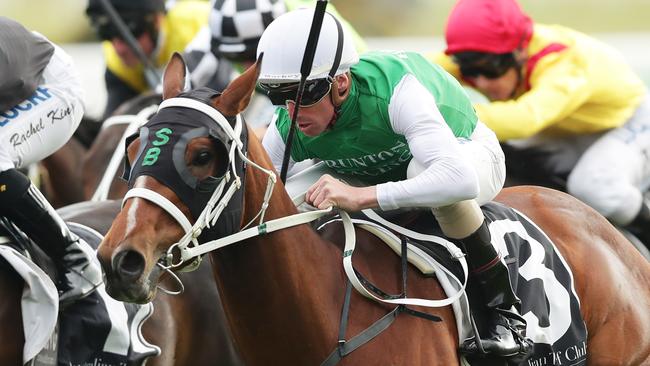 Tasmanian galloper The Inevitable is an $18 chance in early betting on Saturday’s Group 1 Stradbroke Handicap. Picture: Getty Images.