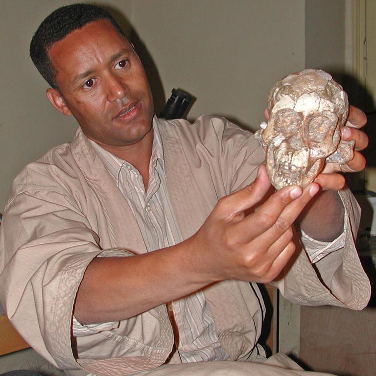 Anthropologist Dr Zeresenay Alemseged holding skull of hominid fossil of three-year-old child dubbed "Lucy" from the Australopithecus afarensis species, at National Museum of Ethiopia in Addis Ababa, Ethiopia. age man prehistoric
