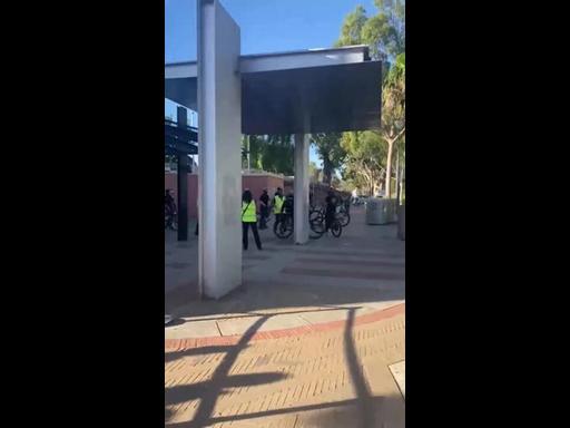 Teenagers cause havoc at Melbourne Zoo