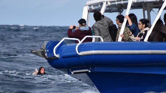 Tourist falls from whale watching boat off Gold Coast. Picture: 9News