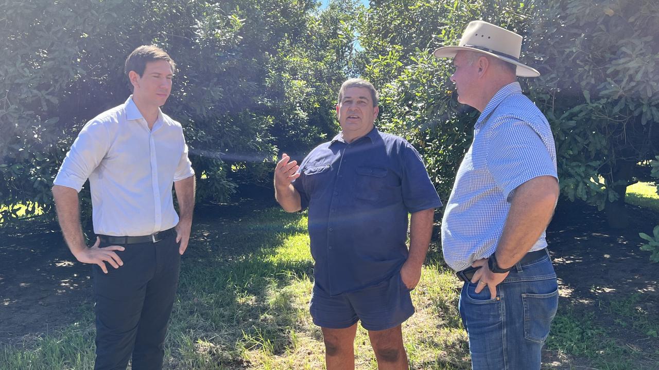 Labor says no to a Bundaberg coal mine. (From left) Bundaberg Labor MP Tom Smith, macadamia grower Geoff Chivers and Resources Minister Scott Stewart at Welcome Creek.