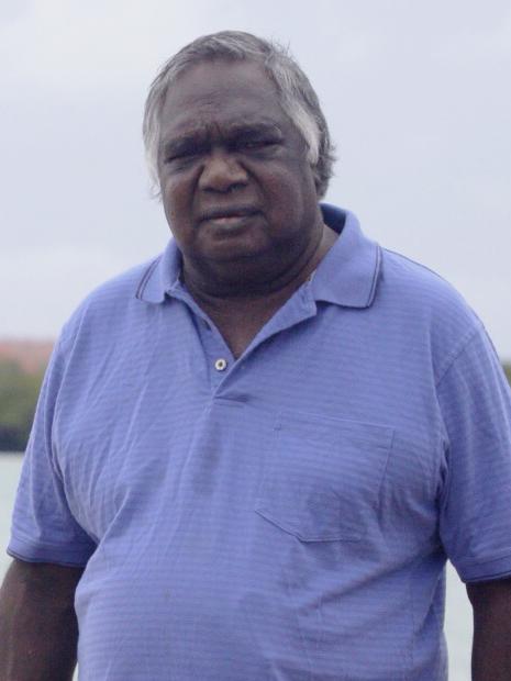 Veteran land rights activist and Indigenous leader Galarrwuy Yunupingu, pictured in Arnhem Land in 2013.