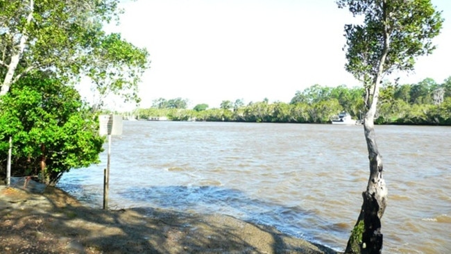 The Logan River at the end of Riedel Rd, Carbrook.