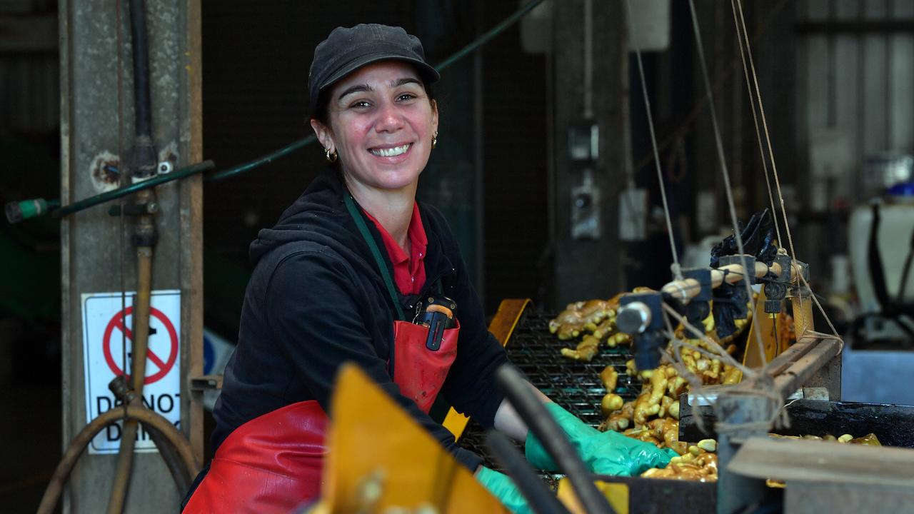 Kylie Templeton of Templeton Ginger in Eumundi. Picture: John McCutecheon