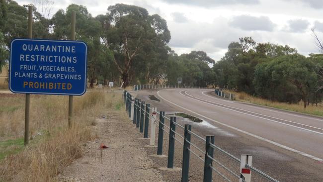 Fruit Fly Quarantine sign 300m into South Australia Border from Victoria. Picture: Arj Ganesan