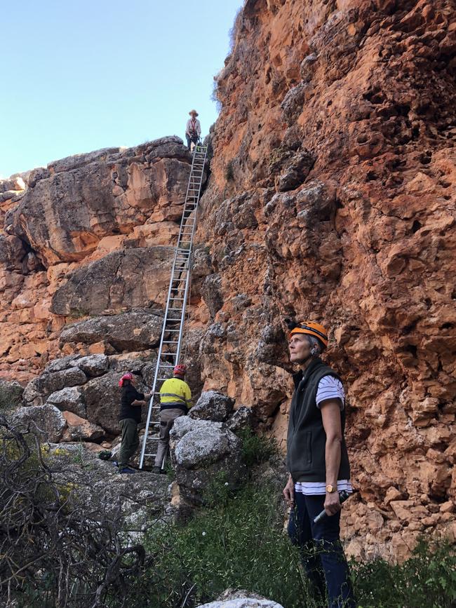 Archaeologist Keryn Walshe.