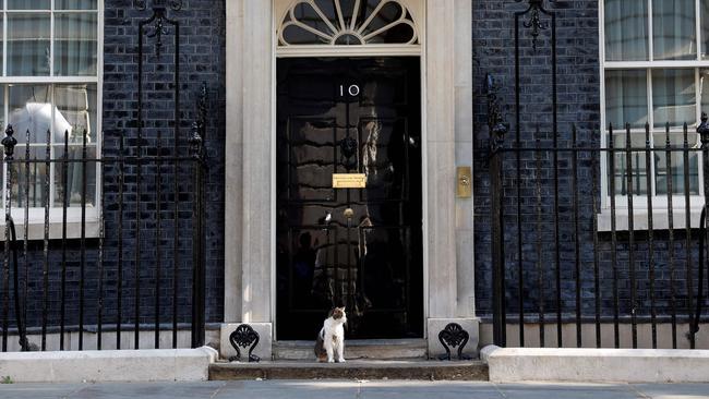 Larry the Downing Street cat sits on the step outside 10 Downing Street, the official residence of Britain's Prime Minister, in central London. Picture: AFP