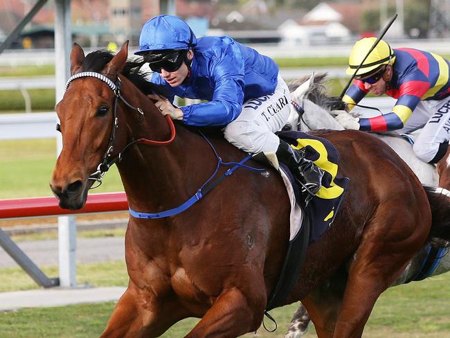 Tim Clark boots Chetwood to the line to win the Cameron Handicap (1350m) at Newcastle. Picture by Peter Lorimer