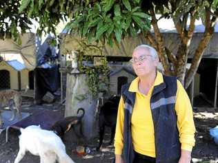 Sally Rogers, of Happy Paws Haven at Eatonsville, with some of the many dogs in her care. Photo JoJo Newby / The Daily Examiner. Picture: JoJo Newby