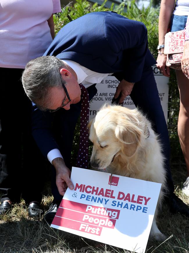 The pup wasn’t too patient as the media took photos. Picture: Toby Zerna