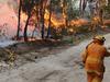‘Shambles’: How Fraser Island was almost lost