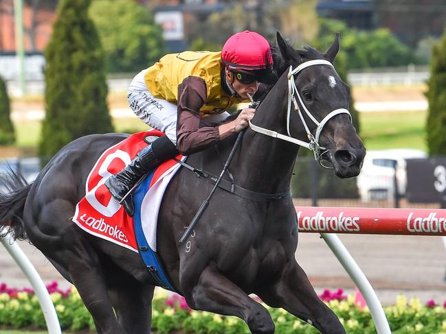 Foxy Cleopatra ridden by Blake Shinn wins the Ladbrokes Mates Mode Handicap at Moonee Valley Racecourse on September 30, 2022 in Moonee Ponds, Australia. (Photo by Reg Ryan/Racing Photos via Getty Images)